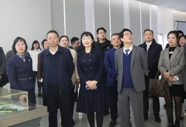 華時捷科技參加湘江新區(qū)“結(jié)伴同行·海外領(lǐng)秀”座談會，共謀國際化發(fā)展新路徑